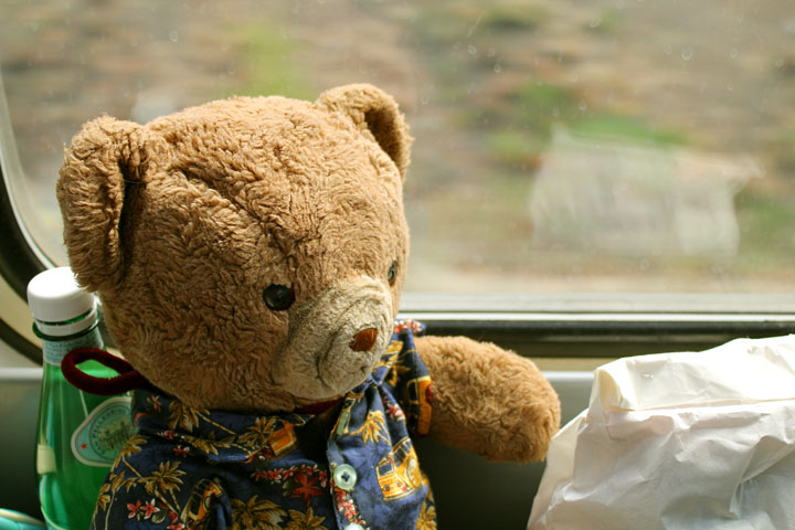 Ted on train